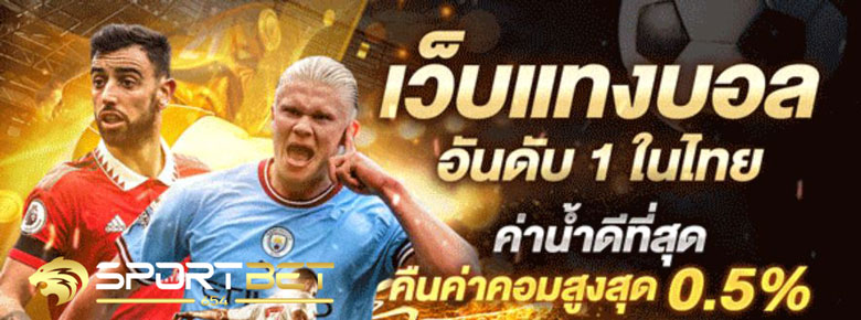 เว็บแทงบอลวันนี้